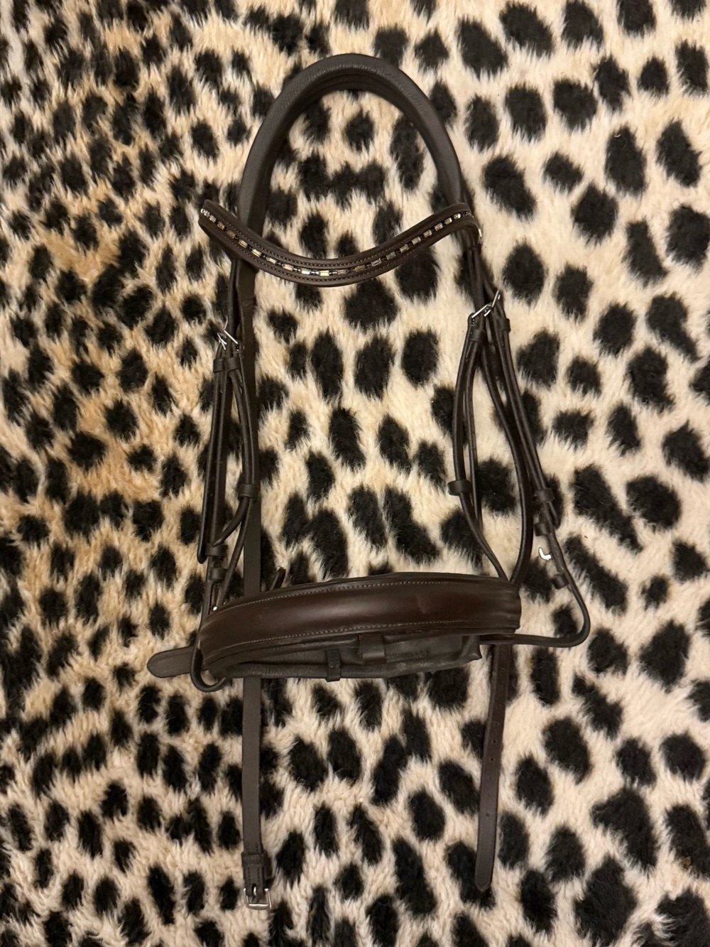 Lemieux Arika Dressage brown bridle